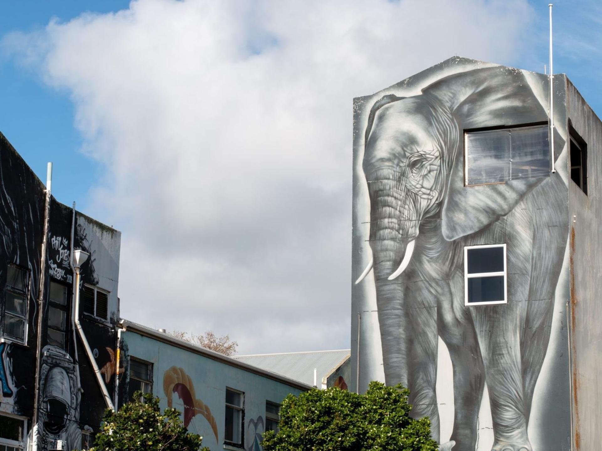 Stay Central The Penthouse New Plymouth Exteriör bild